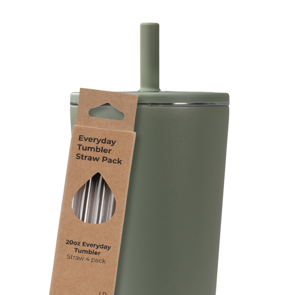 Tumbler Straws 4 Pack 20oz V31T